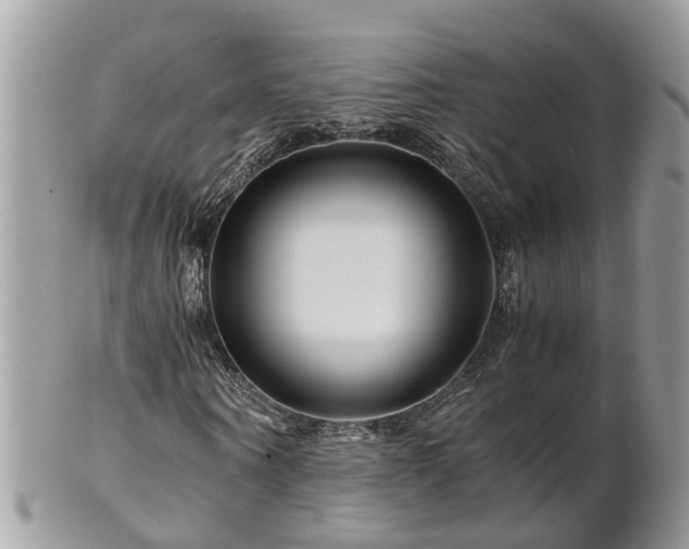 X0000101170866200807071219