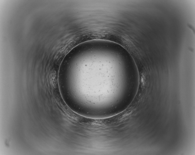 X0000101170867200807071219