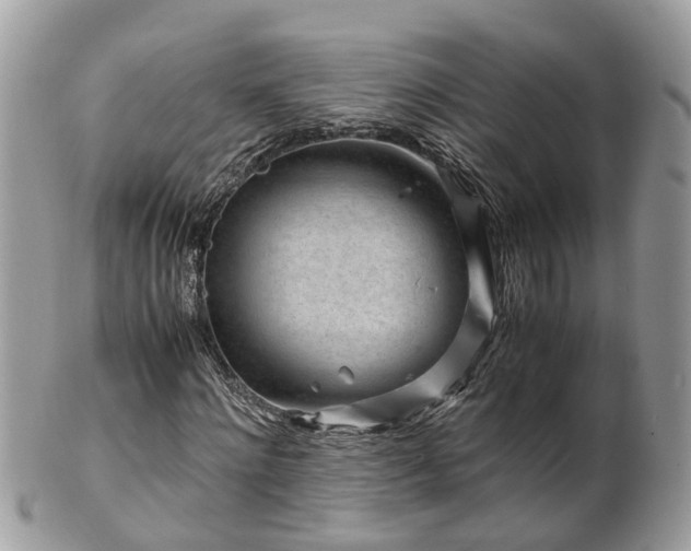 X0000101170868200807071219