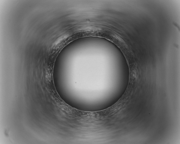 X0000101170869200807071219