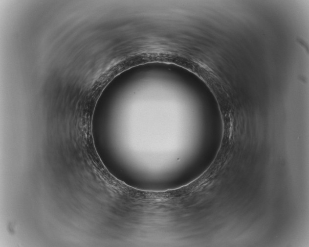X0000101170870200807071219