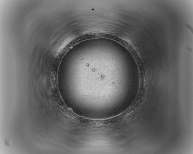 X0000101170871200807071219