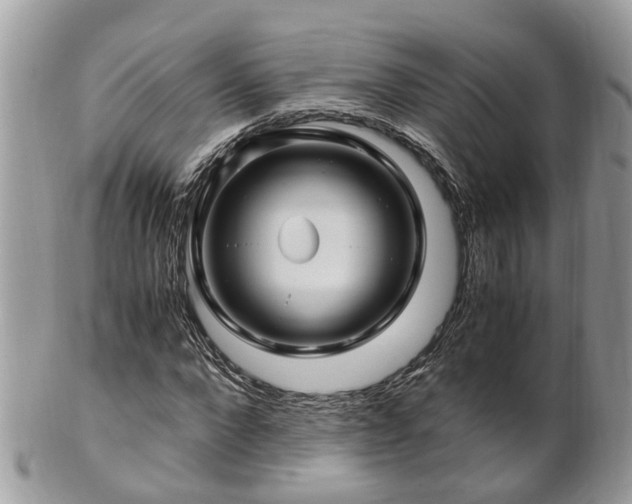 X0000101170872200807071219