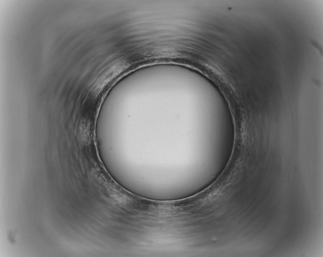 X0000101170873200807071219