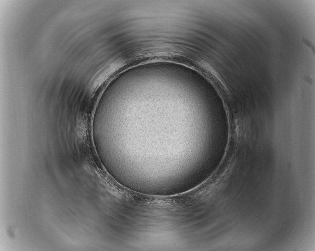 X0000101170874200807071219