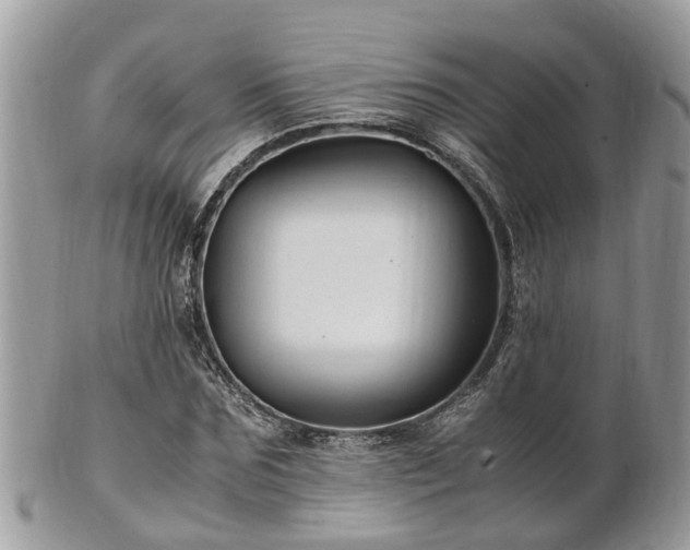 X0000101170875200807071219