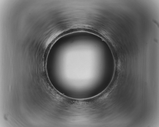 X0000101170877200807071219