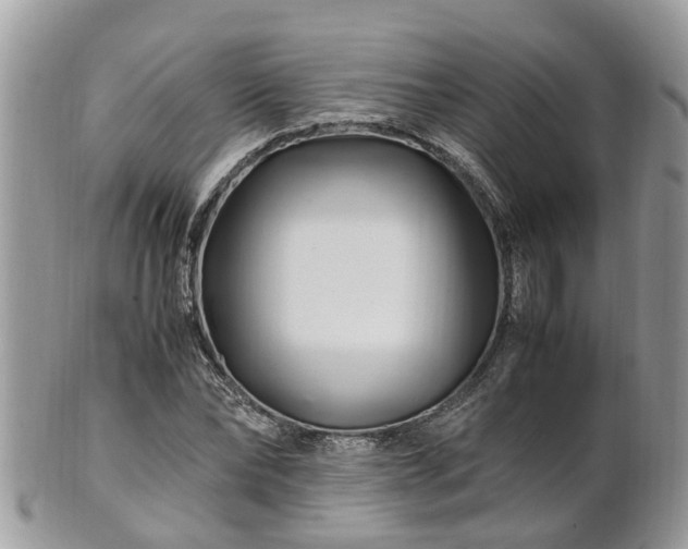 X0000101170878200807071219