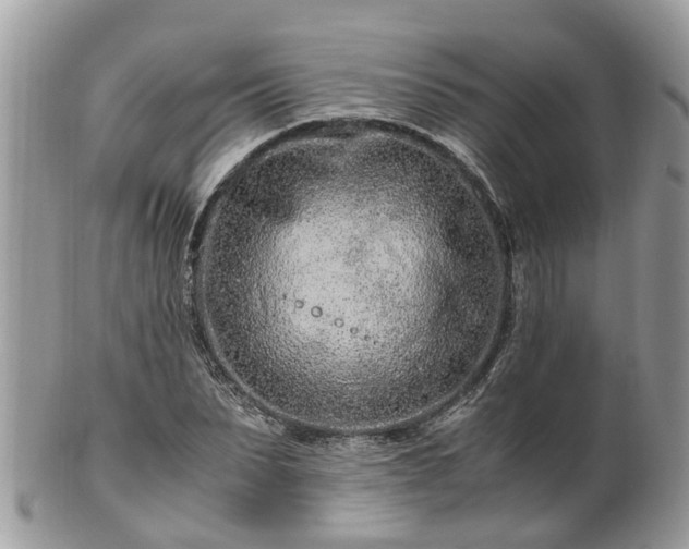 X0000101170879200807071219