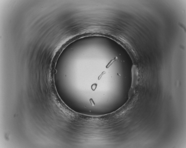 X0000101170880200807071219