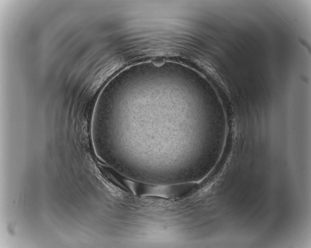 X0000101170881200807071219