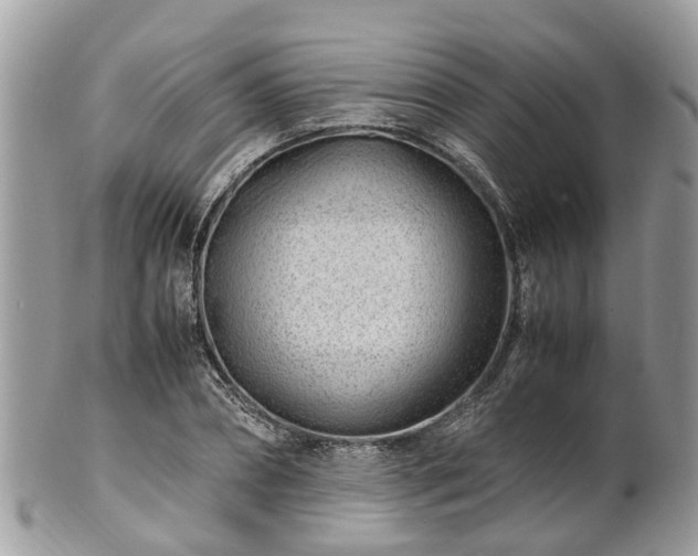 X0000101170882200807071219