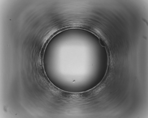 X0000101170883200807071219