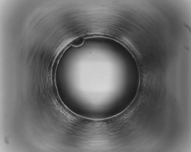 X0000101170884200807071219