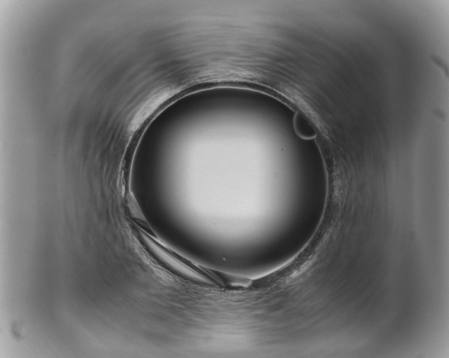 X0000101170885200807071219