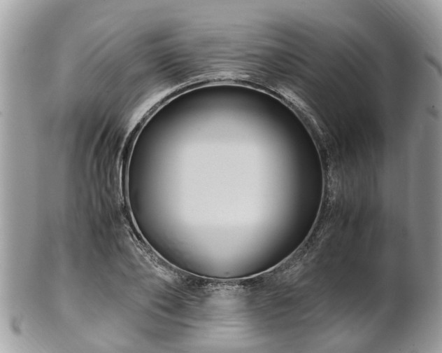 X0000101170886200807071219