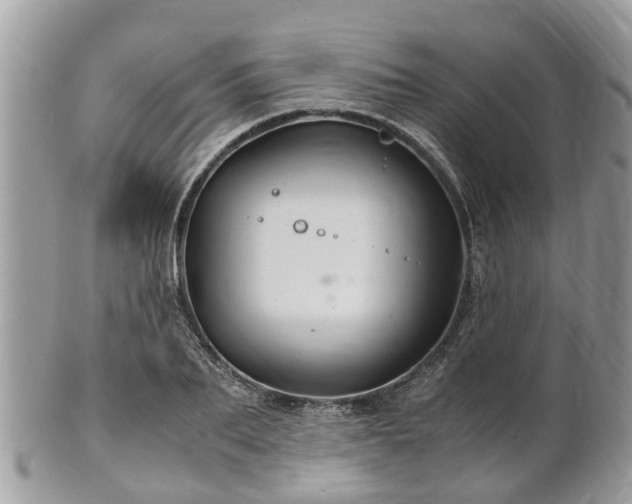 X0000101170887200807071219