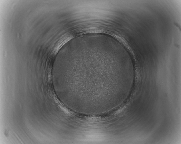 X0000101170889200807071219