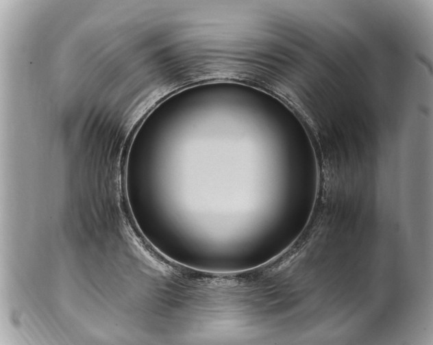 X0000101170890200807071219