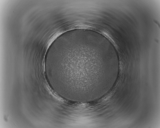 X0000101170891200807071219