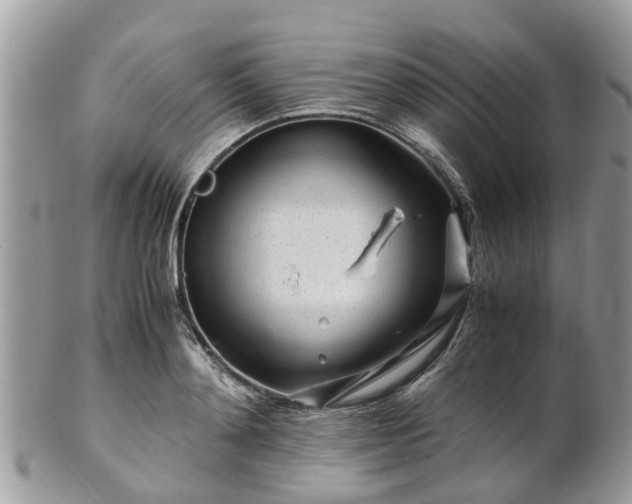 X0000101170892200807071219