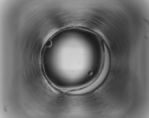 X0000101170894200807071219