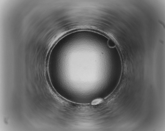 X0000101170895200807071219