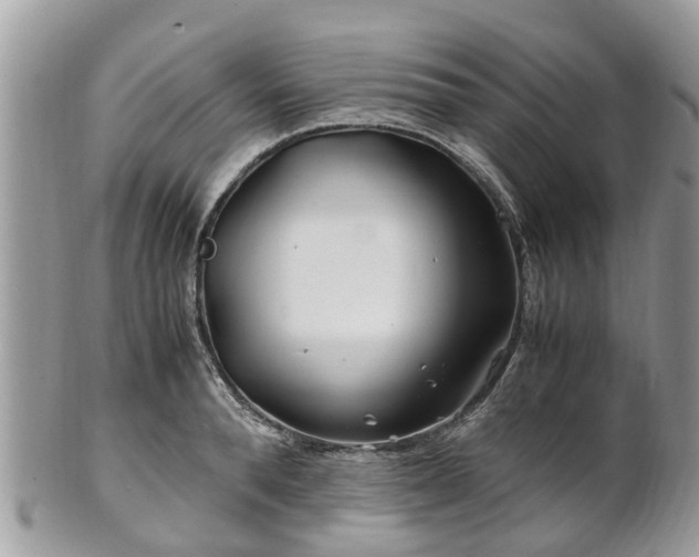 X0000101170896200807071219