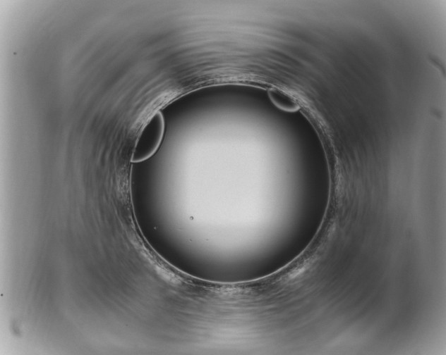 X0000101170897200807071219