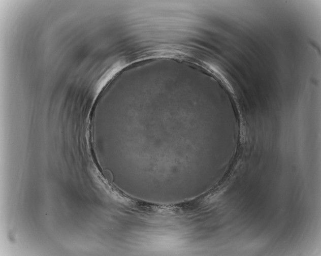 X0000101170899200807071219