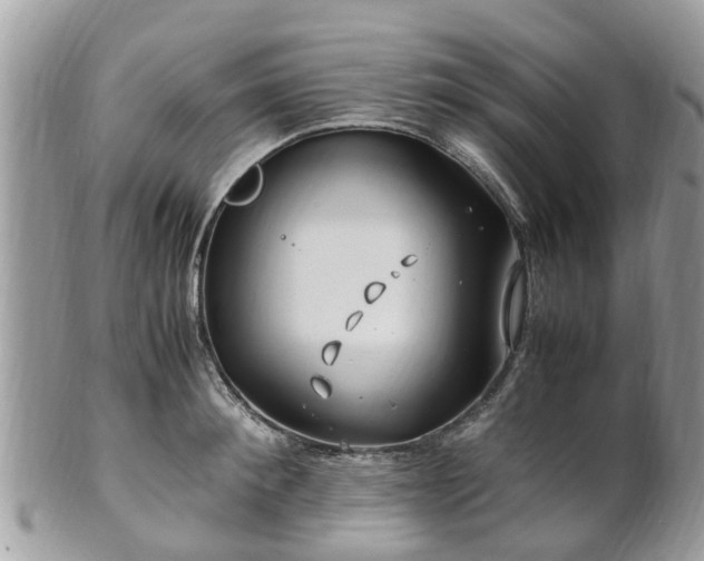X0000101170900200807071219