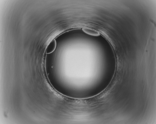 X0000101170901200807071219