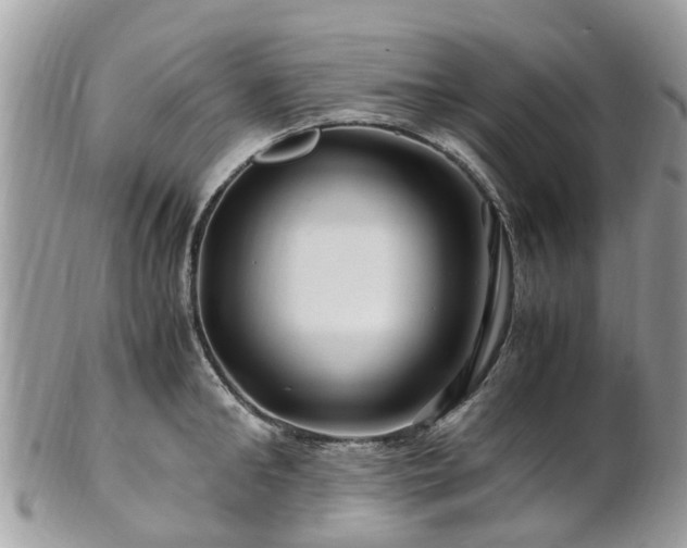 X0000101170902200807071219