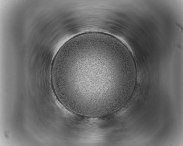 X0000101170903200807071218