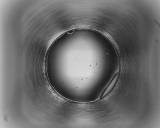 X0000101170904200807071218