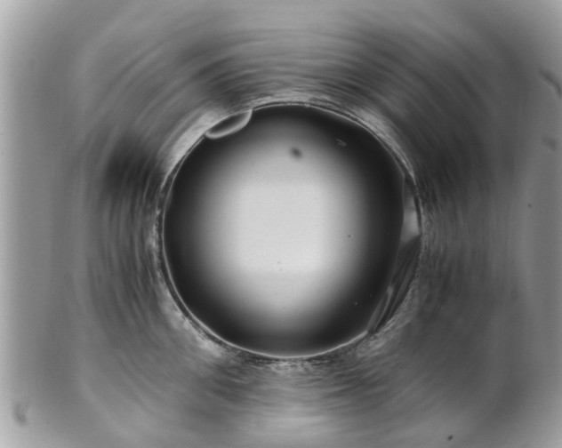X0000101170906200807071218
