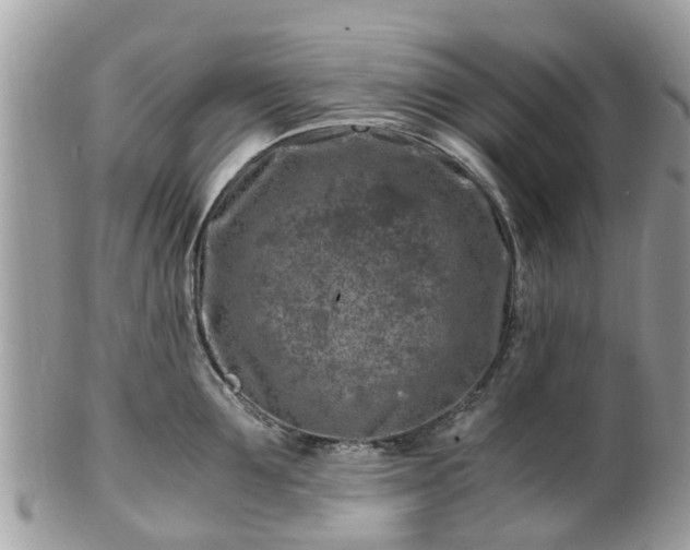 X0000101170907200807071218