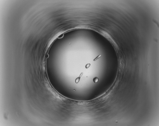 X0000101170908200807071218