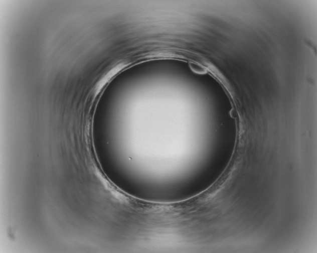 X0000101170909200807071218