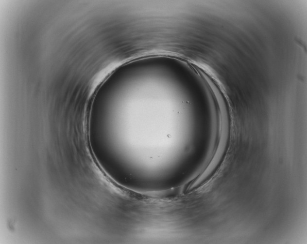 X0000101170910200807071218