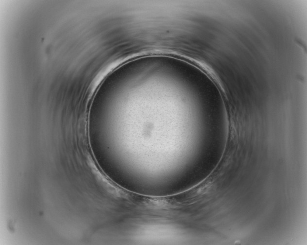 X0000101170911200807071218