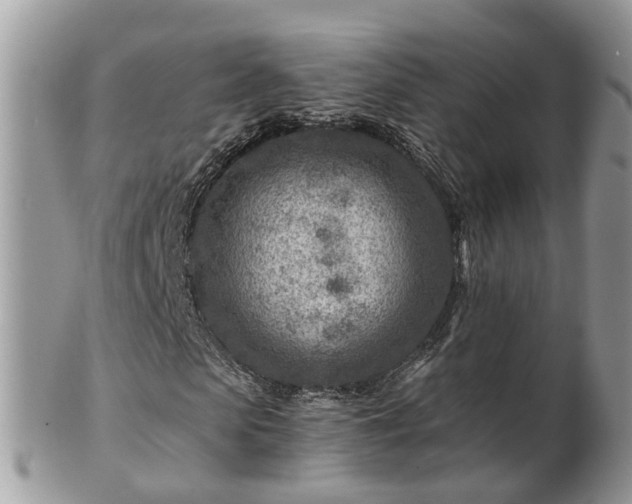 X0000101170913200807071218