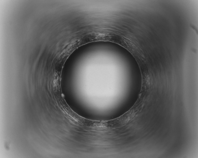 X0000101170914200807071218