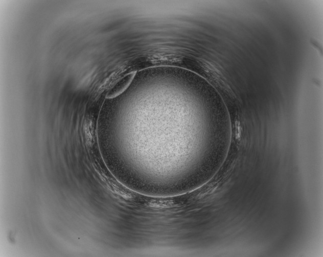 X0000101170915200807071218