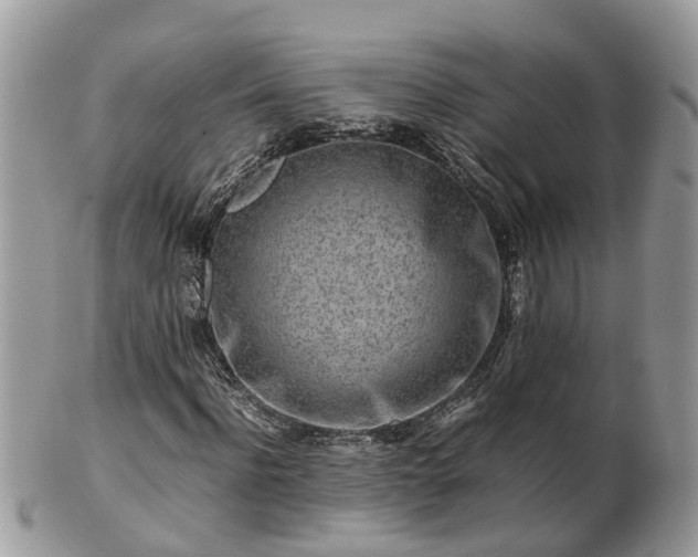 X0000101170916200807071218