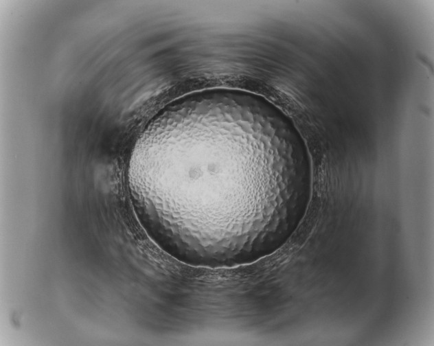 X0000101170917200807071218