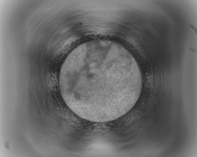 X0000101170918200807071218