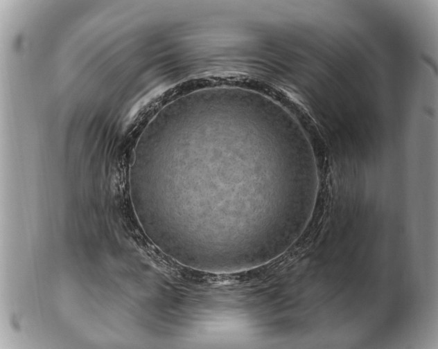 X0000101170920200807071218