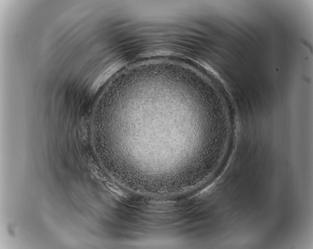 X0000101170921200807071218