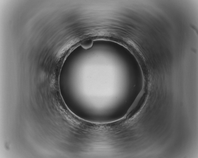 X0000101170922200807071218